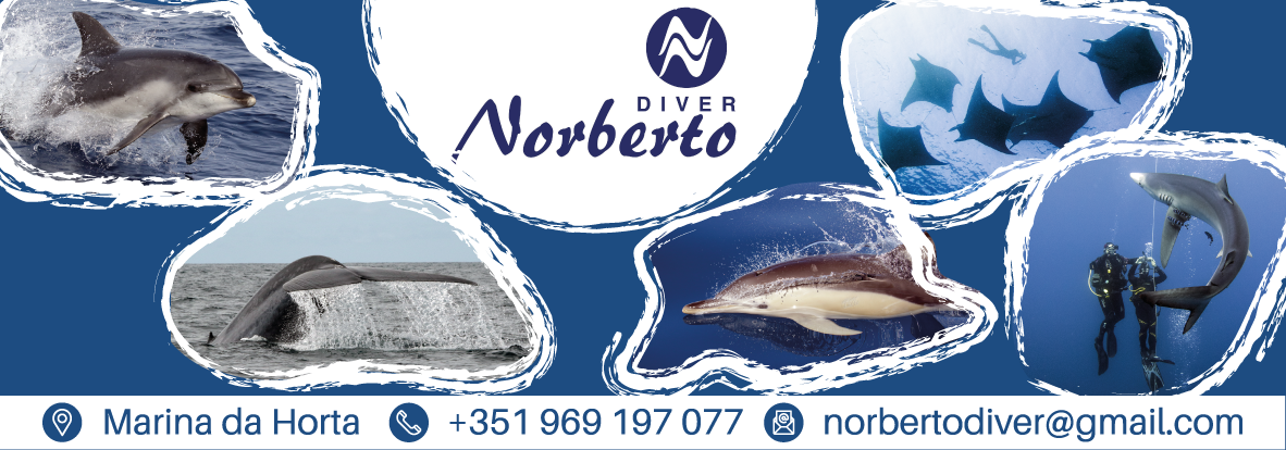 Norberto Diver