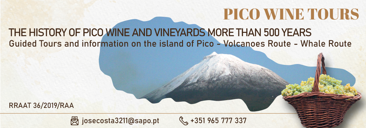 Pico Wine Tours