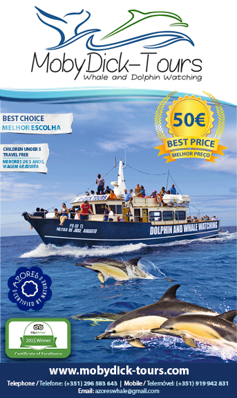 MobyDick Tours – Whale and Dolphin watching