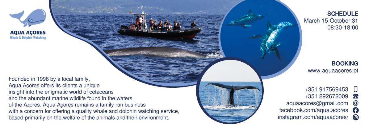 Aqua Açores – Whale & Dolphin Watching